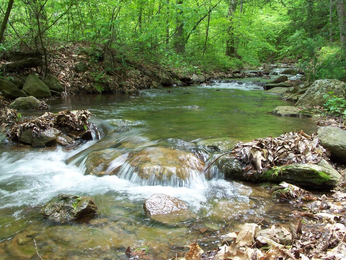 Cabin Creekwood Lyndhurst Zewnętrze zdjęcie